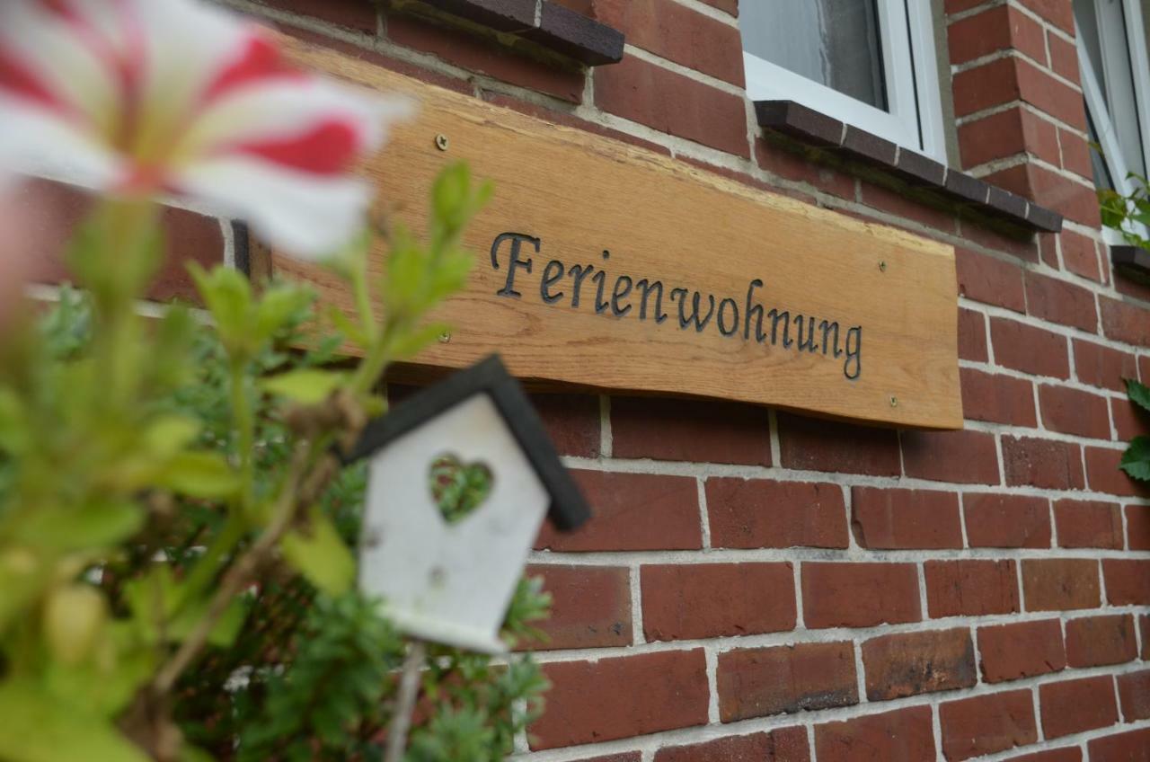 Fewo Deichblick Wischhafen Екстер'єр фото